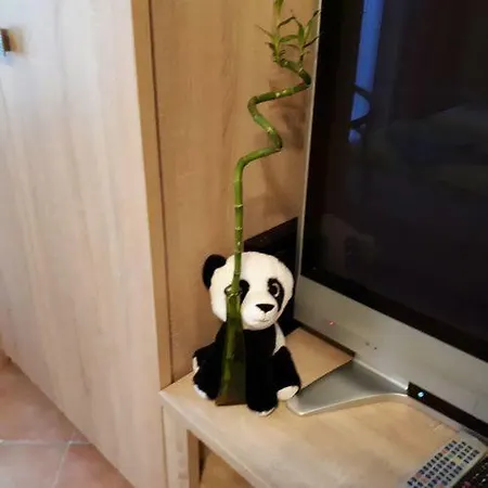 Bambusz Apartman